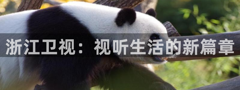 天顺娱乐