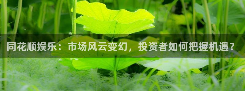 天顺娱乐