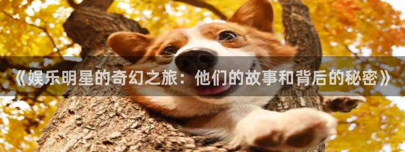 天顺娱乐
