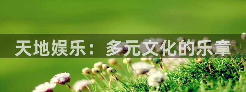 天顺娱乐